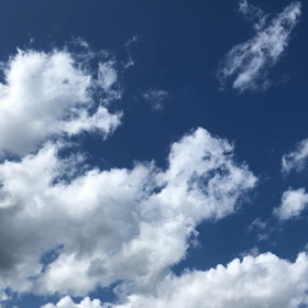 語尾に"のに"が付くと愚痴になるんだな〜。の画像