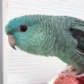 人生の壁の画像