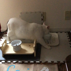 ぬるまゆ　だいすきの画像