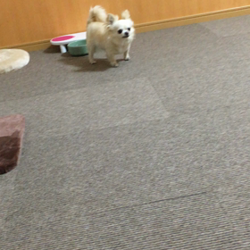 反応ありでしたの画像