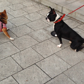 2016年3月6日の画像