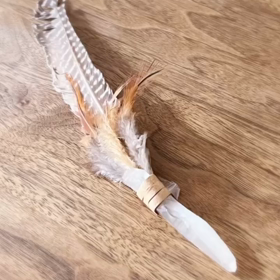 Alphonseサロンを少しの画像