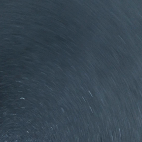 ハニーお散歩デビューの画像