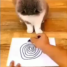 ふふふ！可愛い❤️の画像