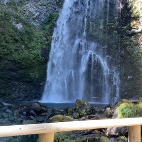 キャンプ2日目は散策の画像