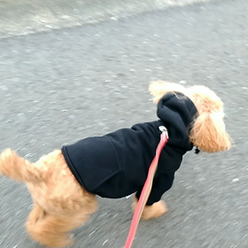 今朝も寒いの画像