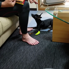 パパさんからいじられ、嫌がらせする‼の画像