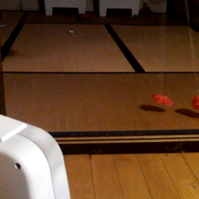 火災報知器カバーと扇風機の画像