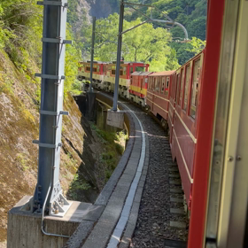 出てしまった・・・・・の画像
