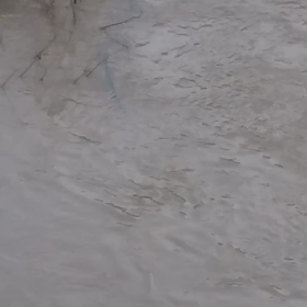 謎の巨大生物の画像