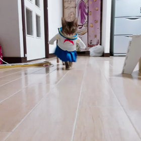 ダイソーのくせに…の画像