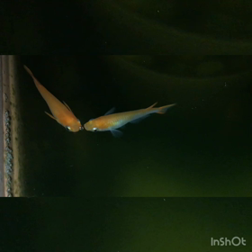 お疲れ様です(^^)の画像