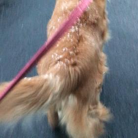 東京 外は雪の画像