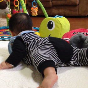 ずり這いソウタの画像