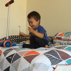 最近のニコの画像