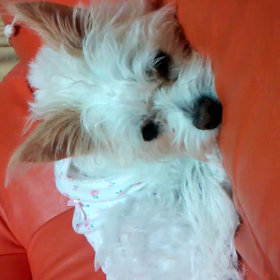 そんな動いてないけどの画像