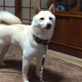 ガマン(^^)の画像