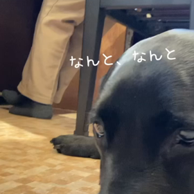 81歳のピアノ演奏　動画の画像