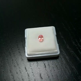 今日はずっと、商談と打ち合わせ・・・の画像