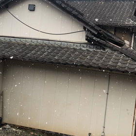 雪の画像