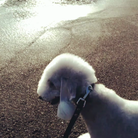 海とちょっとの画像