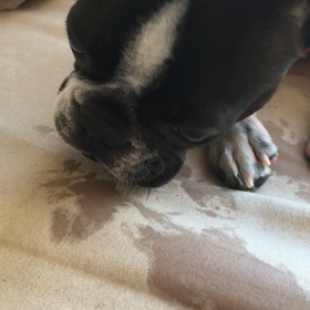 暑い日の。の画像