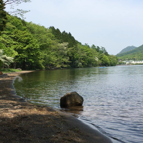 頑張れココちゃん！6歳おめでとう。の画像