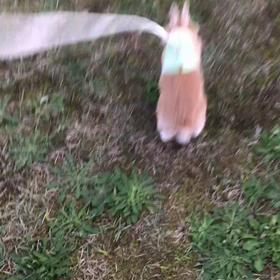 お顔のお手入れの画像