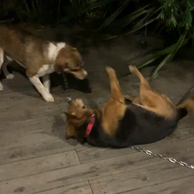 激しい日も♡の画像