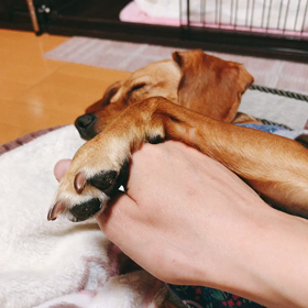 ☆まったり☆の画像