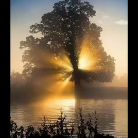 お友達からLINEで送信…。の画像