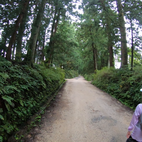 【七言律詩】黄鶴楼　　GoPro動画は付録ですの画像