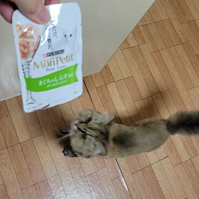 モンプチ！！の画像