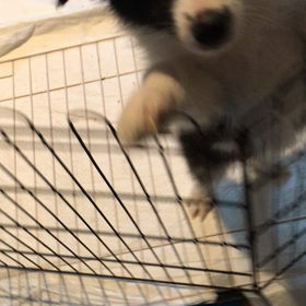 豪華な1人部屋の画像