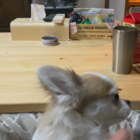 キュン❤️出来ますの画像