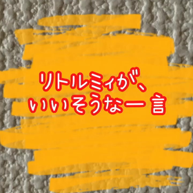 リトルミィが、言いそうな一言。の画像