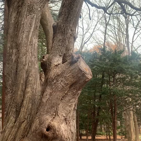 羨ましいぞ笑の画像