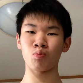 アヒルのまねの画像