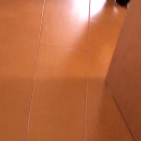 思い出　黒猫ちゃん3日目の画像