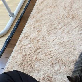 飛びつくの画像