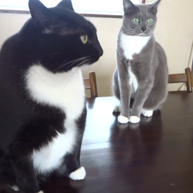 ジワジワくる・・・の画像