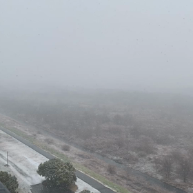 眠いなーと思う日でしたの画像