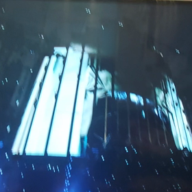 生きてますの画像