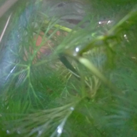 産まれたー⤴の画像