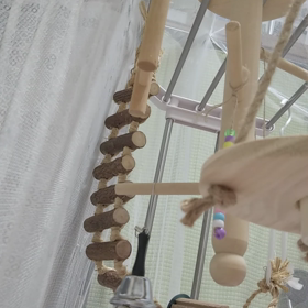 リンリンの画像