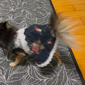 宿題の練習の画像