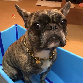 お風呂好きにな〜れの画像