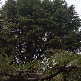 GWのご褒美❓️の画像