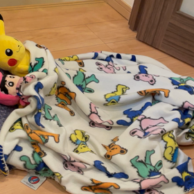 全員寝かしつけらてました。の画像