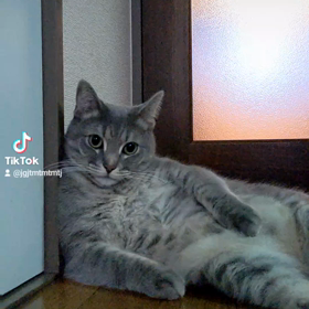 おっさんおまるの画像